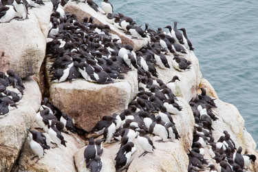 Similar image 800974