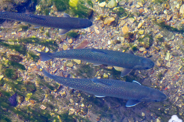 Similar image 800982