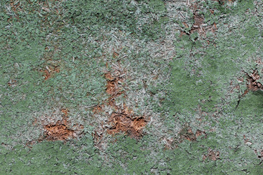 Similar image 800989