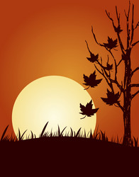 Similar image 800997