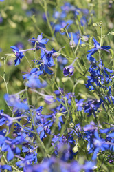 Similar image 800998