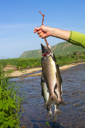 Similar image 801052