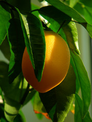 Similar image 801055