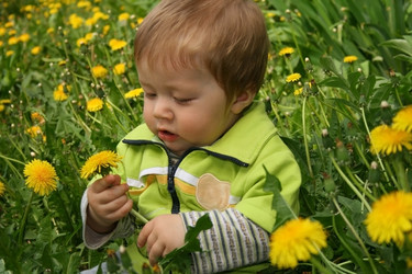 Similar image 801107