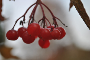 Similar image 801121