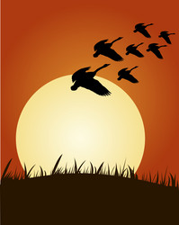 Similar image 801163