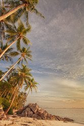 Similar image 801176