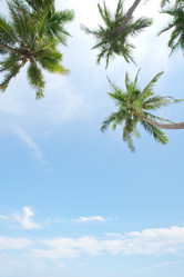 Similar image 801179