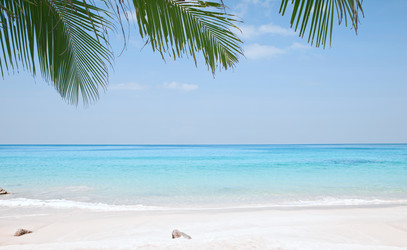 Similar image 801187