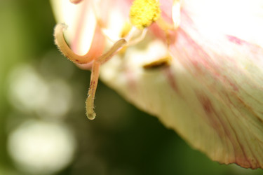 Similar image 801282