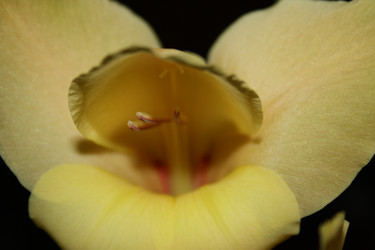 Similar image 801283