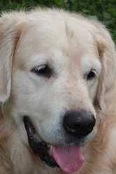 Similar image 801301