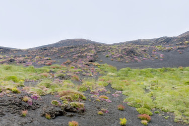 Similar image 801322