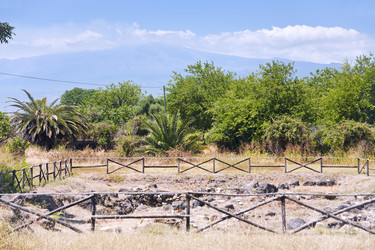 Similar image 801331