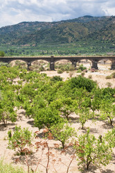 Similar image 801332