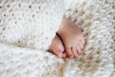 Similar image 801379