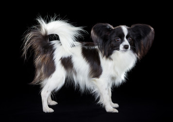 Similar image 801402