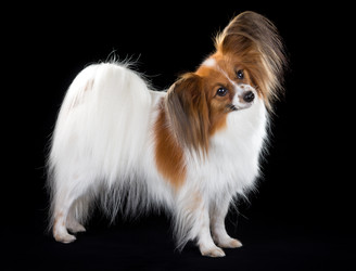 Similar image 801405