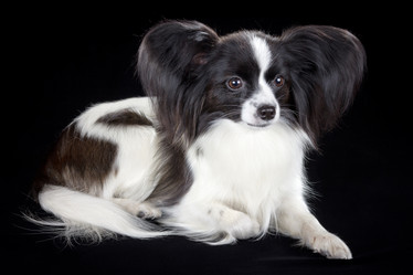 Similar image 801415