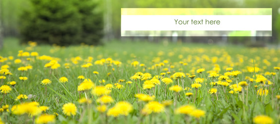 Similar image 801594