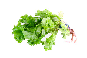 Similar image 801595