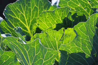 Similar image 801605