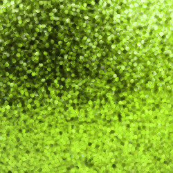 Similar image 801703