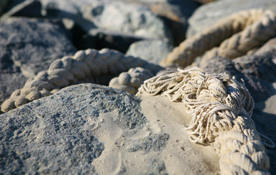 Similar image 801722