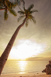 Similar image 801745