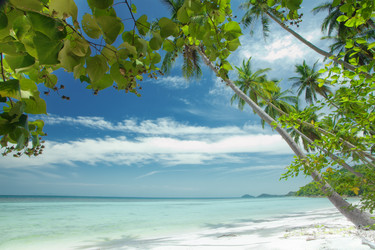 Similar image 801747