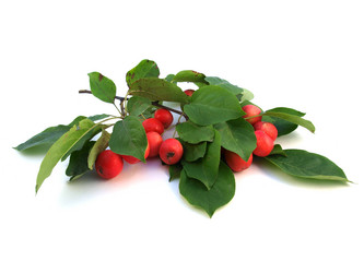 Similar image 801757