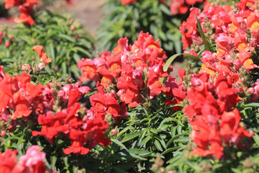 Similar image 801759