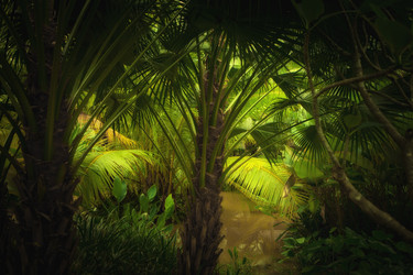 Similar image 801767