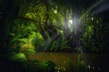 Similar image 801857