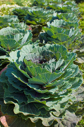 Similar image 802054