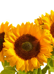 Similar image 802058