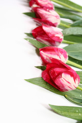 Similar image 802059