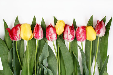 Similar image 802062