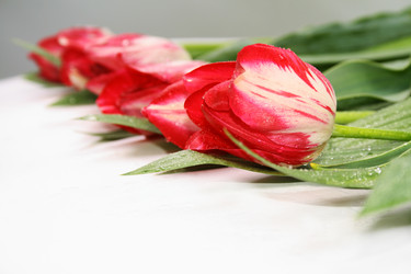 Similar image 802063