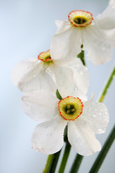 Similar image 802067