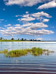 Similar image 802088