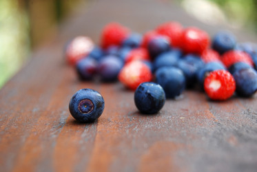 Similar image 802090