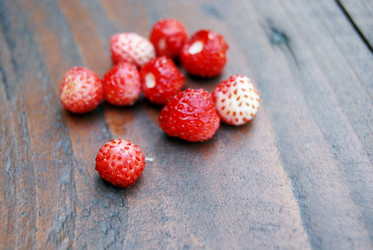 Similar image 802097