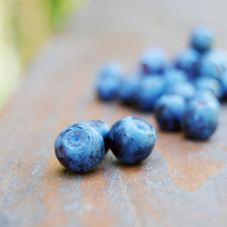 Similar image 802100