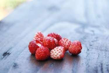 Similar image 802105