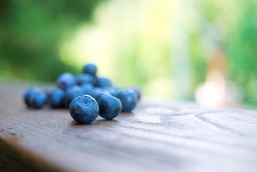 Similar image 802106