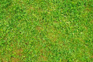 Similar image 802115