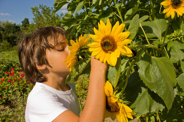 Similar image 802118