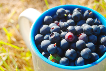 Similar image 802130