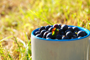 Similar image 802131